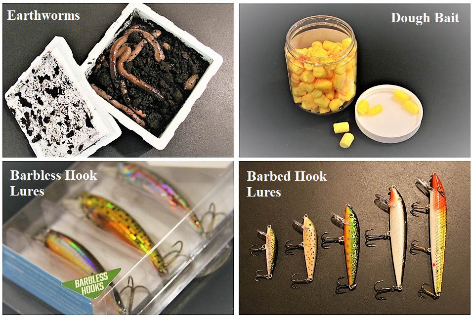 Four separate images of bait & tackle options – worms, dough bait, barbless hook lures, and a set of barbed hook lures 